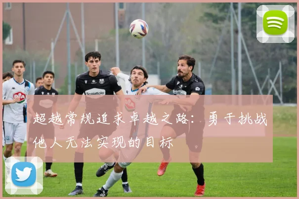 超越常规追求卓越之路：勇于挑战他人无法实现的目标