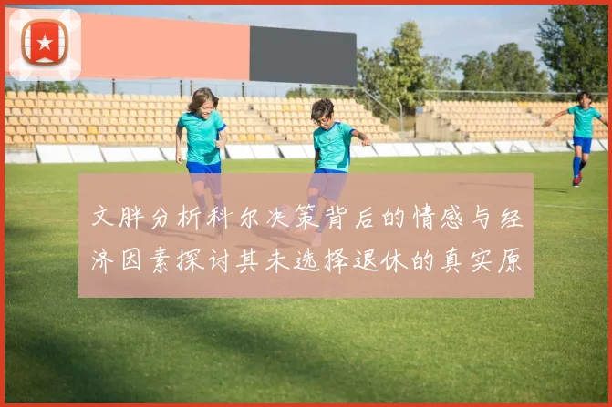 文胖分析科尔决策背后的情感与经济因素探讨其未选择退休的真实原因