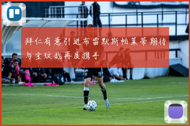 拜仁有意引进布雷默斯帕莱蒂期待与金玟哉再度携手