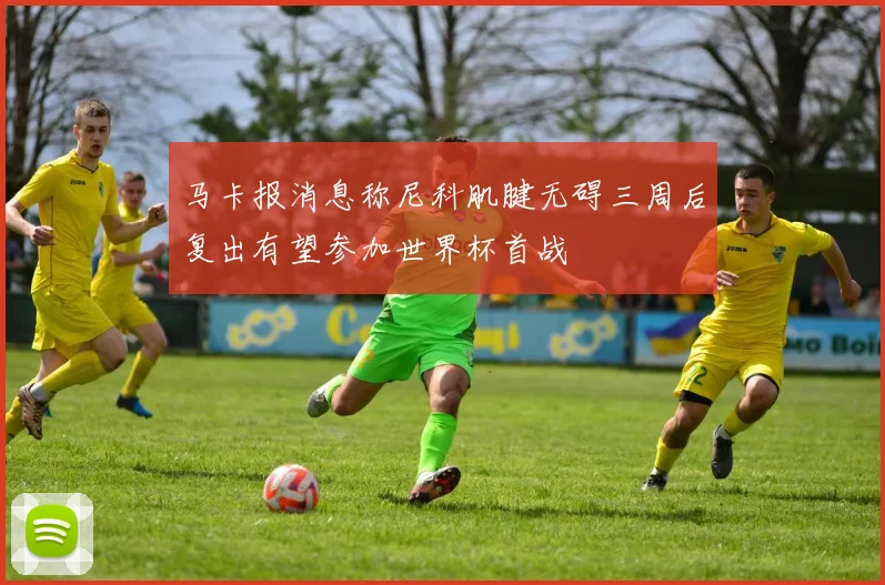 马卡报消息称尼科肌腱无碍三周后复出有望参加世界杯首战