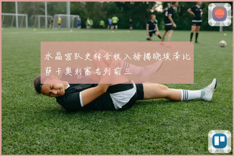 水晶宫队史转会收入榜揭晓埃泽比萨卡奥利塞名列前三